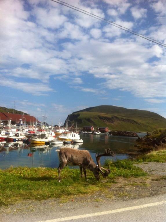 Arran Nordkapp Hotel Honningsvåg Kültér fotó