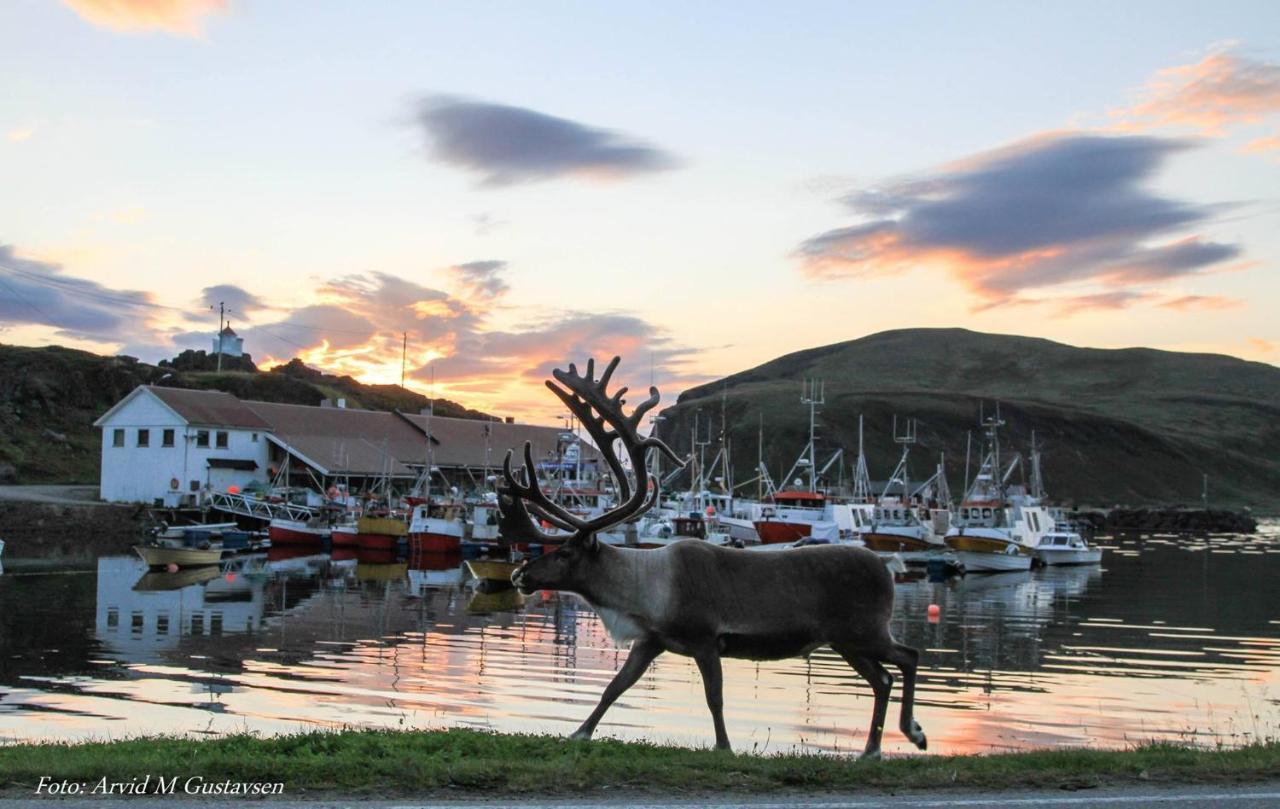 Arran Nordkapp Hotel Honningsvåg Kültér fotó